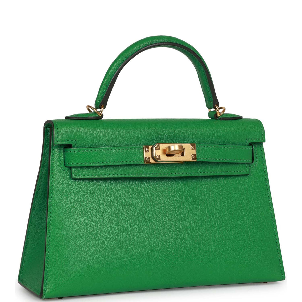 Bambou Chevre Bag E2972