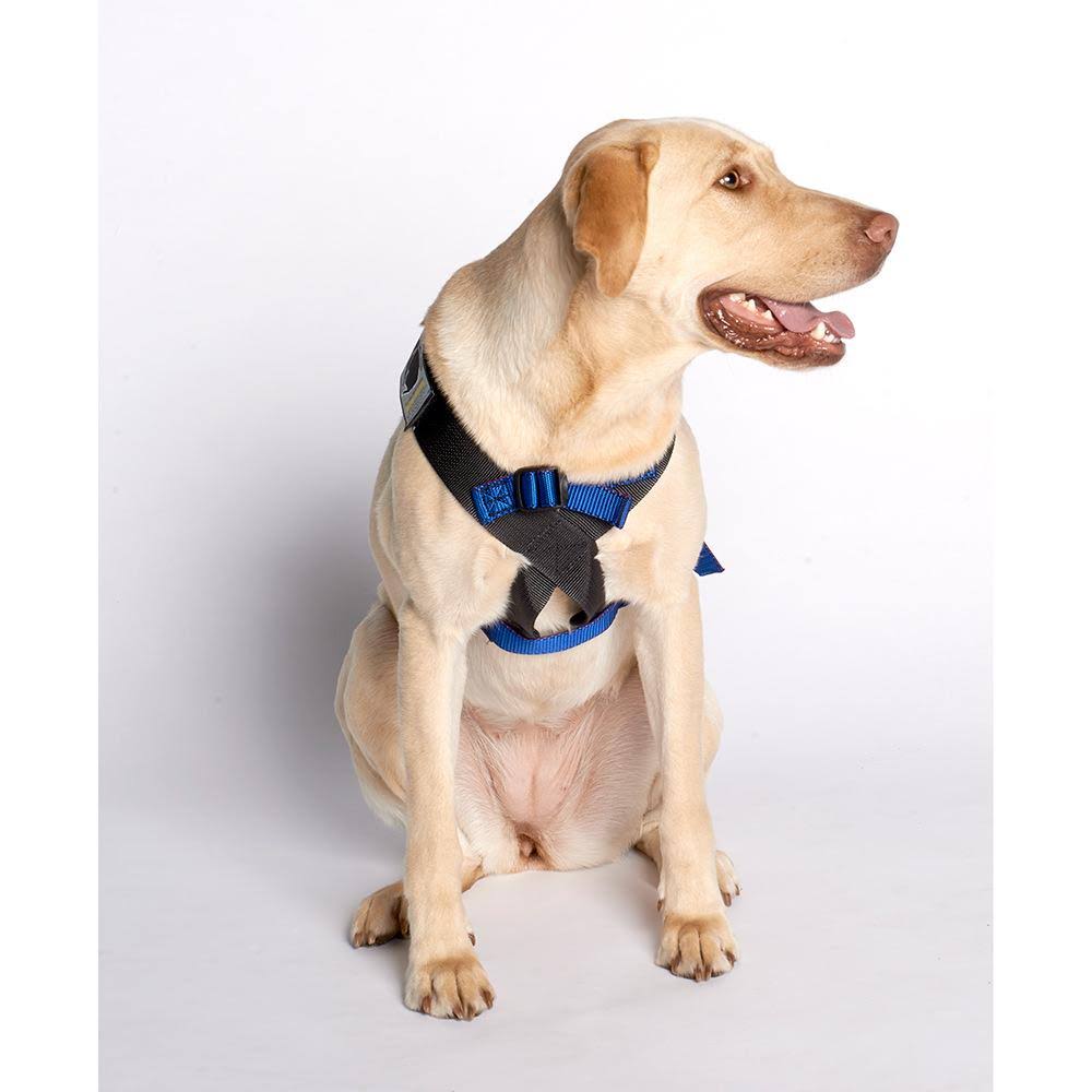 Blue Travel Safe Harness B35490