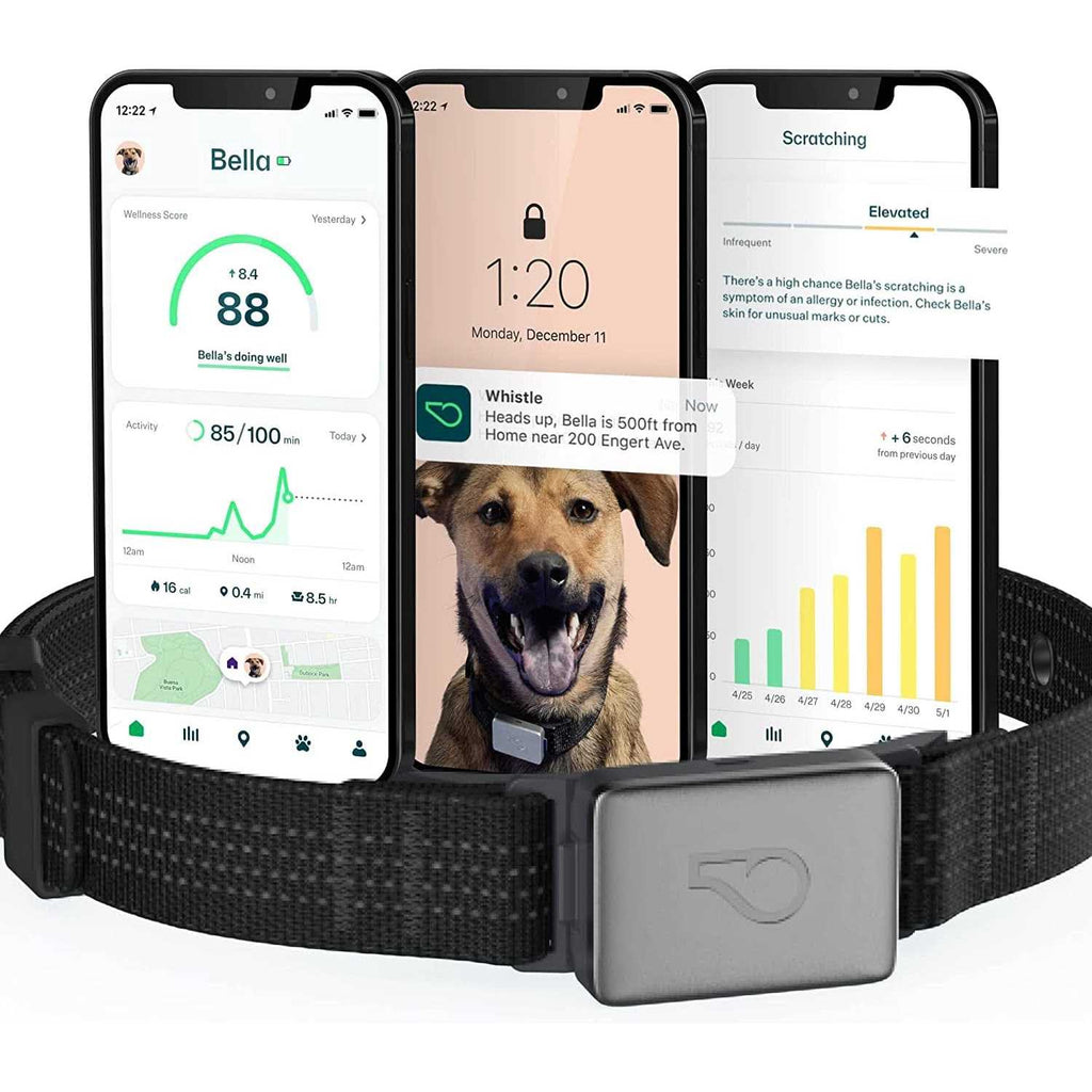 Smart Collar Kit GPS location Health & Fitness C904123