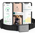 Smart Collar Kit GPS location Health & Fitness C904123