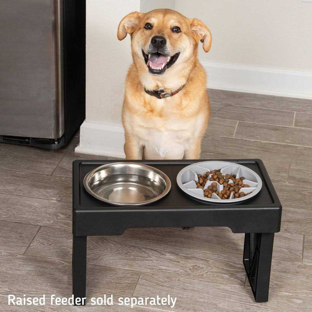 Slow Feeder Dog Bowl with Feeder Holes Z615167