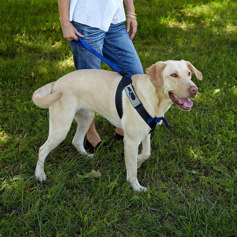 Blue Travel Safe Harness B35490
