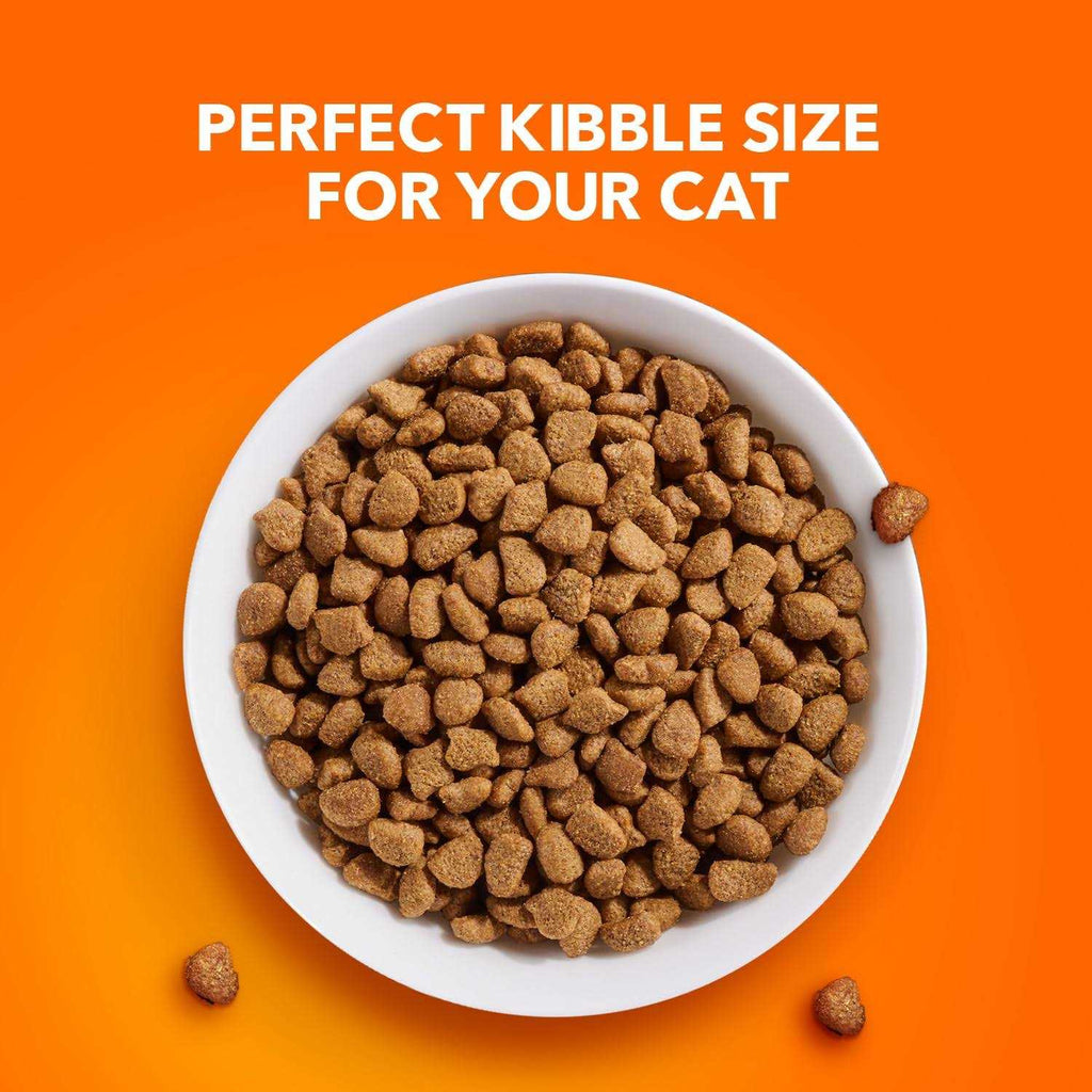 Indoor Dry Cat Food Q6633