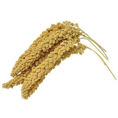 Spray Millet for Parrots Cockatiel Lovebird Parakeet Finch Canary H516