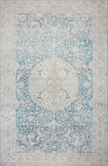 Antique Sky 2'6 x 9'6 Rug F562