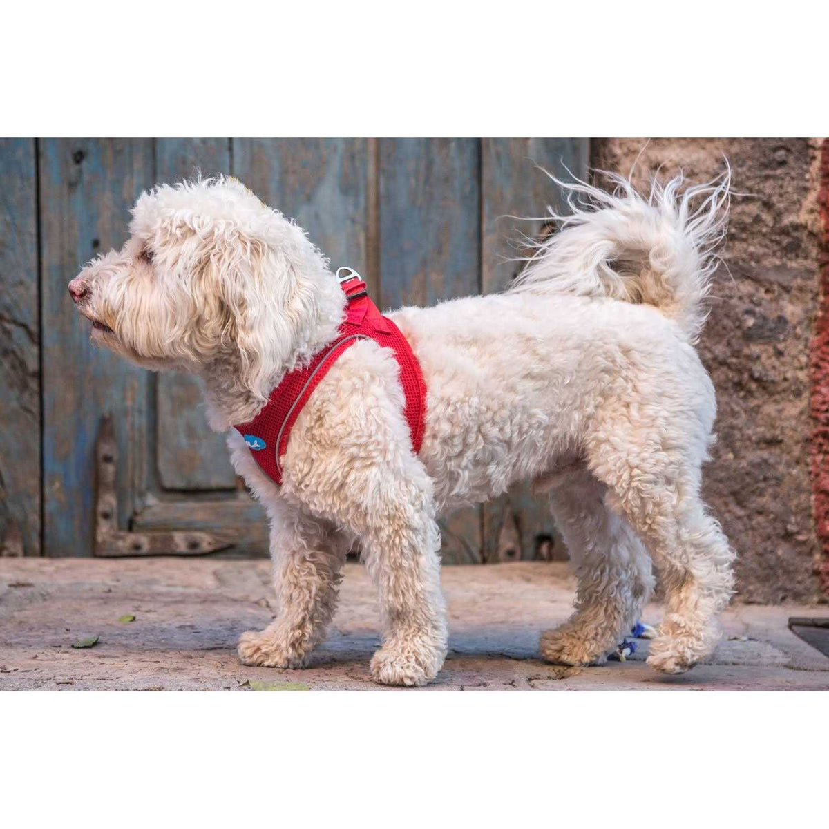 Air Mesh Harness D4912