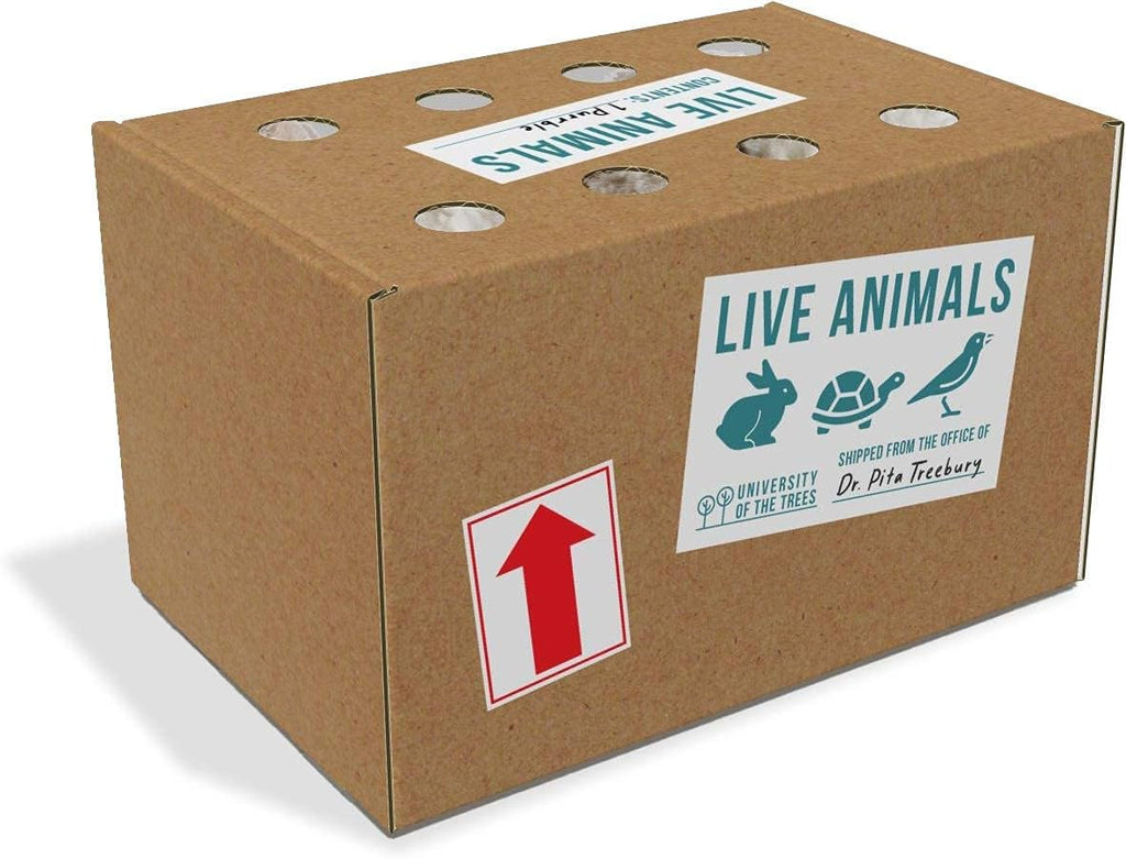 Interactive Plush Stuffed Animal Toy Q998968