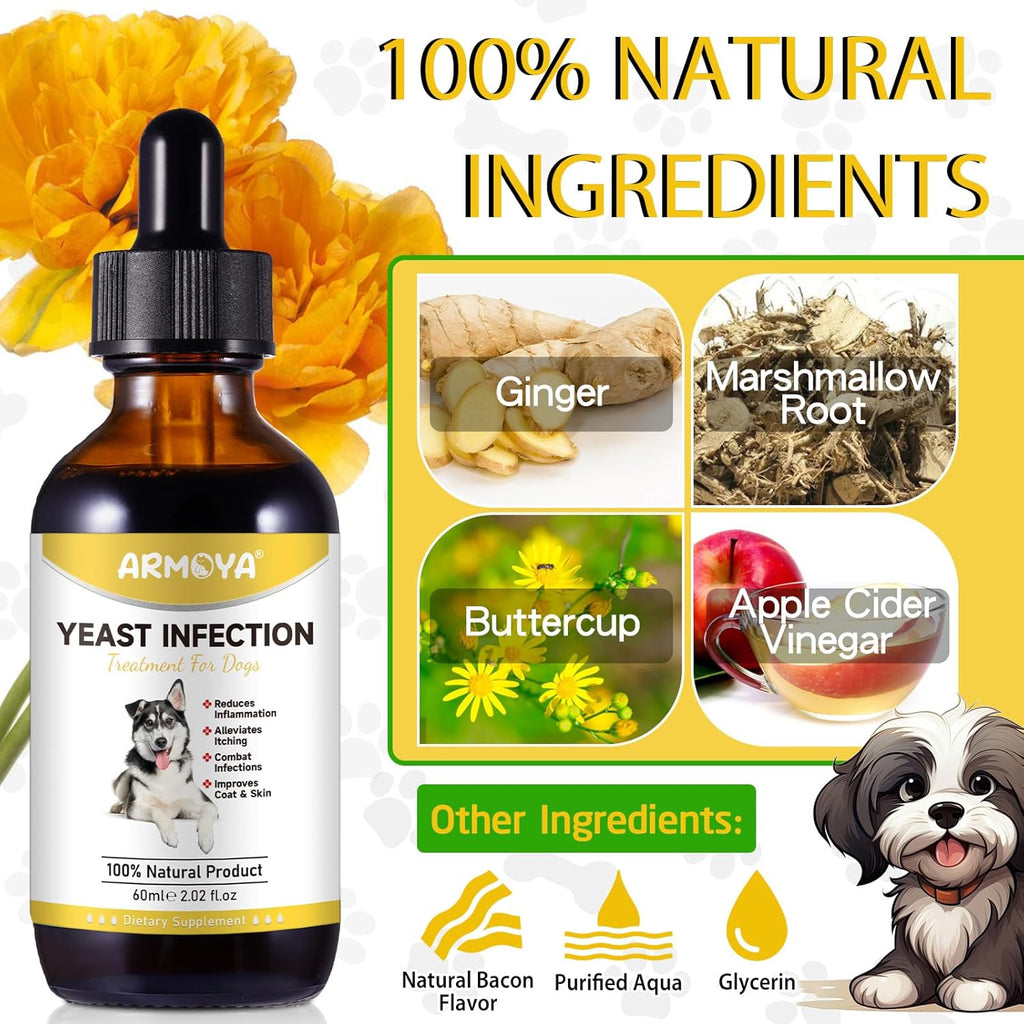 Dog Ear Infection Treatment - 2 fl oz G53440