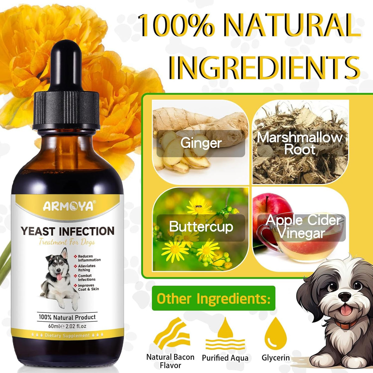 Dog Ear Infection Treatment - 2 fl oz G53440