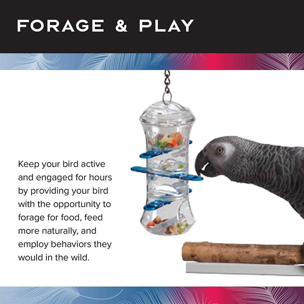 Foraging Push and Pull Pet Supplies I48542