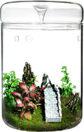 Glass Plant Terrarium – 4.7 x 7 in Small Glass Planter with Lid V441082
