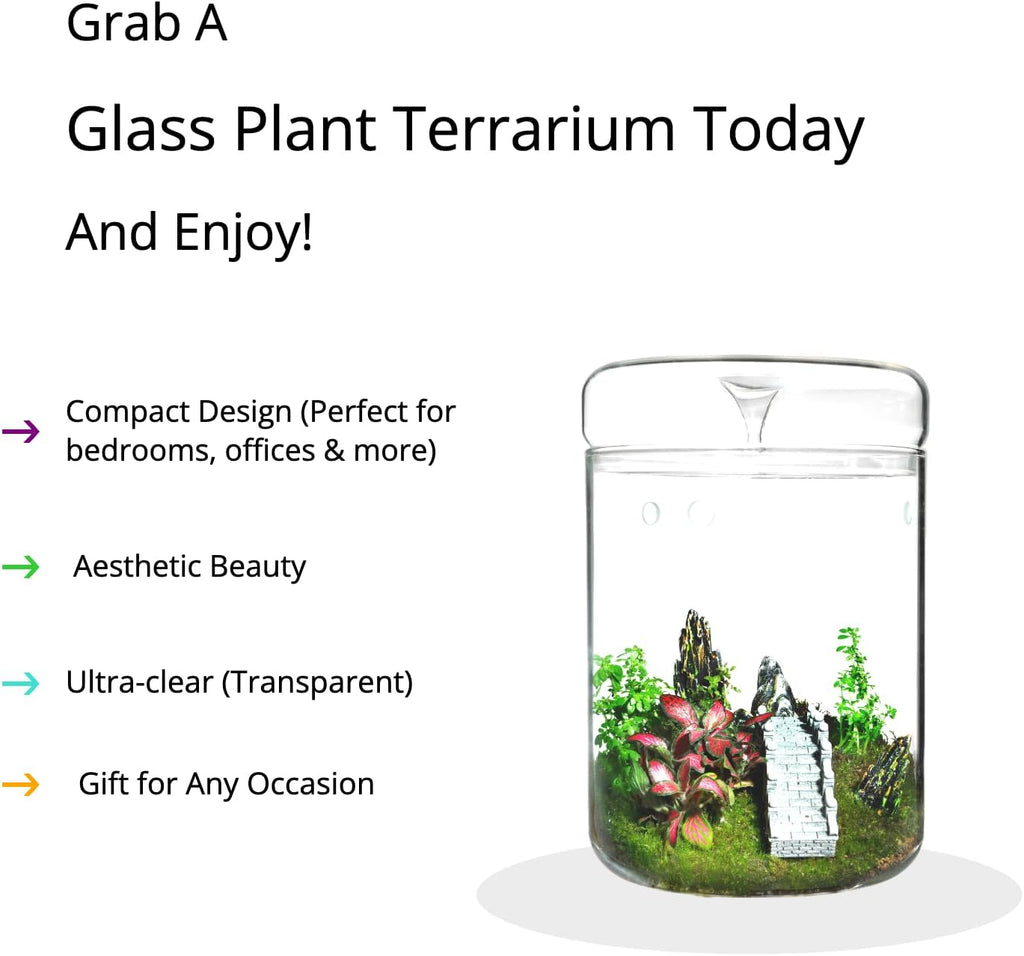 Glass Plant Terrarium – 4.7 x 7 in Small Glass Planter with Lid V441082