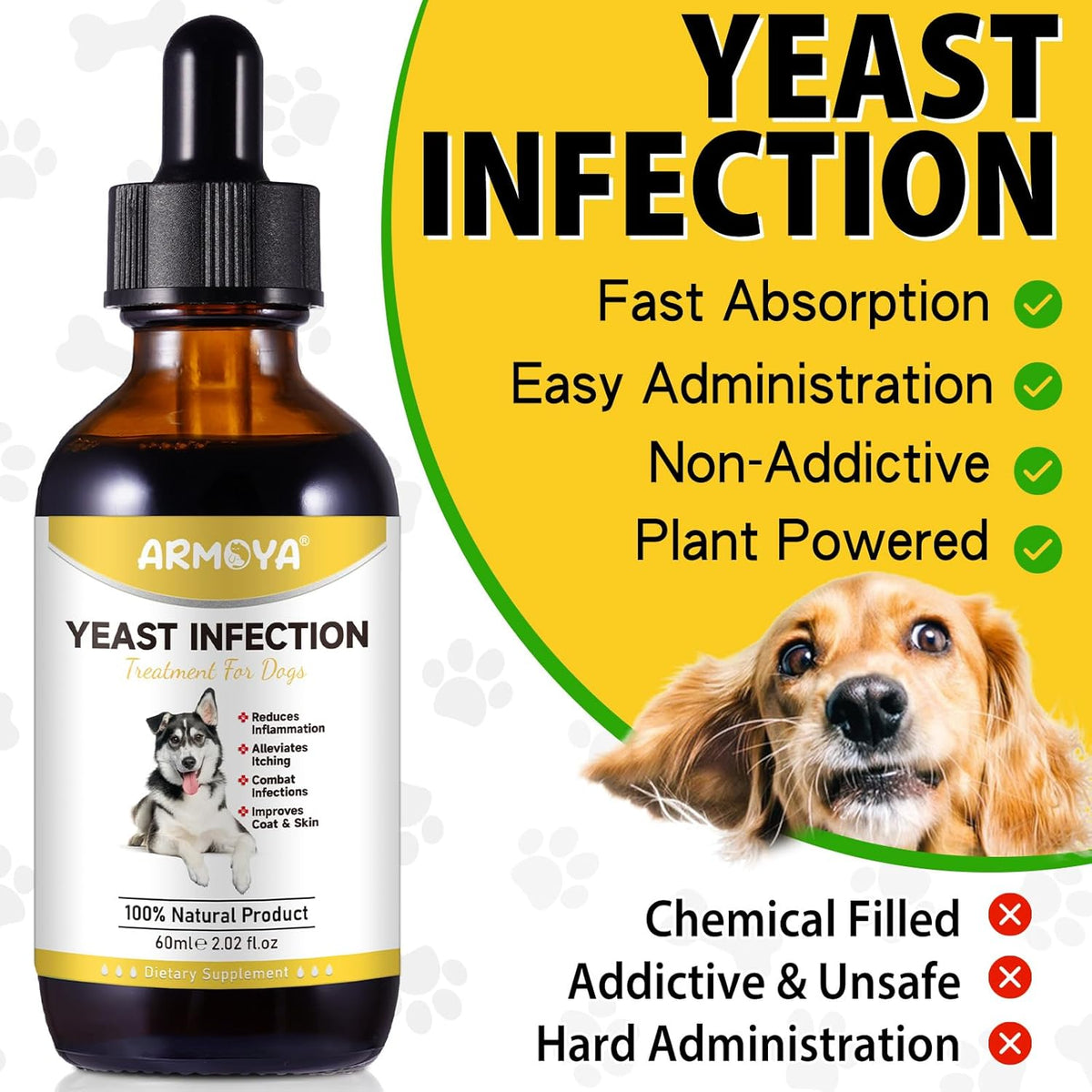 Dog Ear Infection Treatment - 2 fl oz G53440