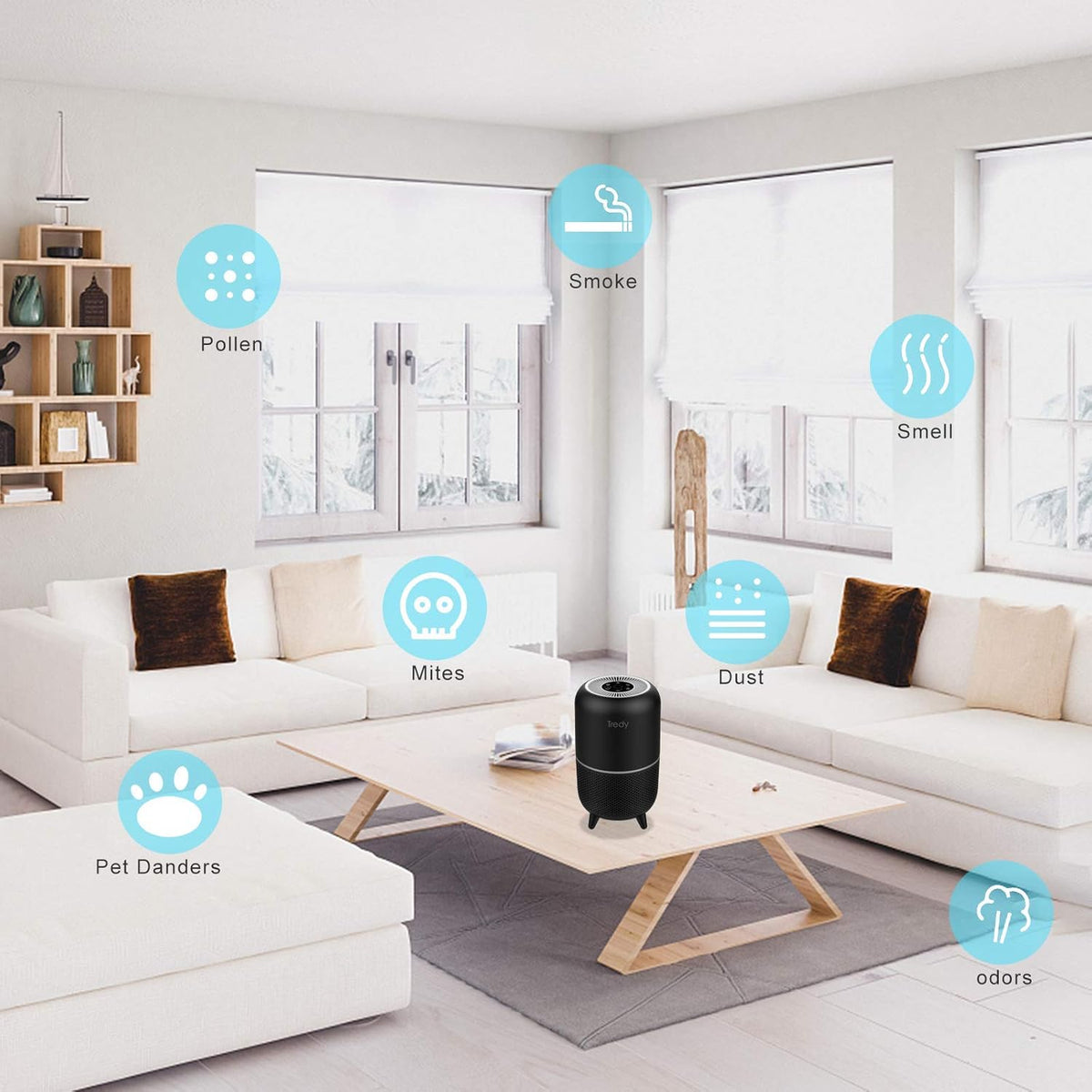 HEPA Air Purifier Ozone Free N217