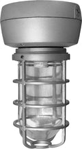 70W Metal Halide Quartz Ceiling Light H14016