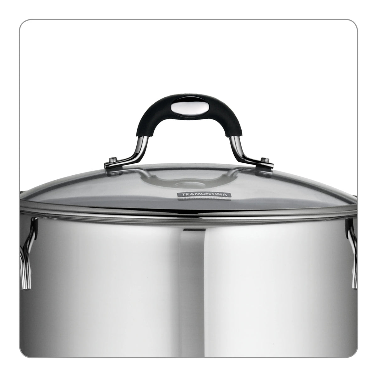 Stainless Steel 8 Quart Stock Pot W848