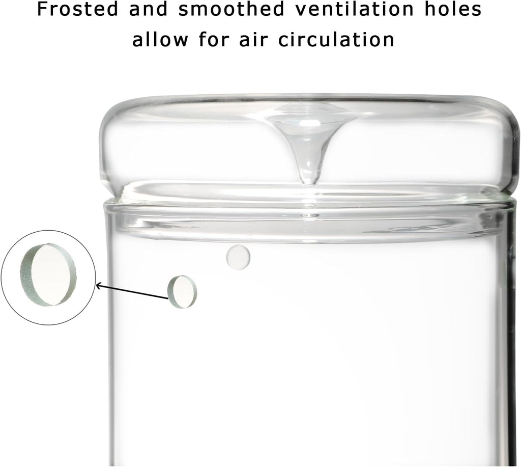 Glass Plant Terrarium – 4.7 x 7 in Small Glass Planter with Lid V441082