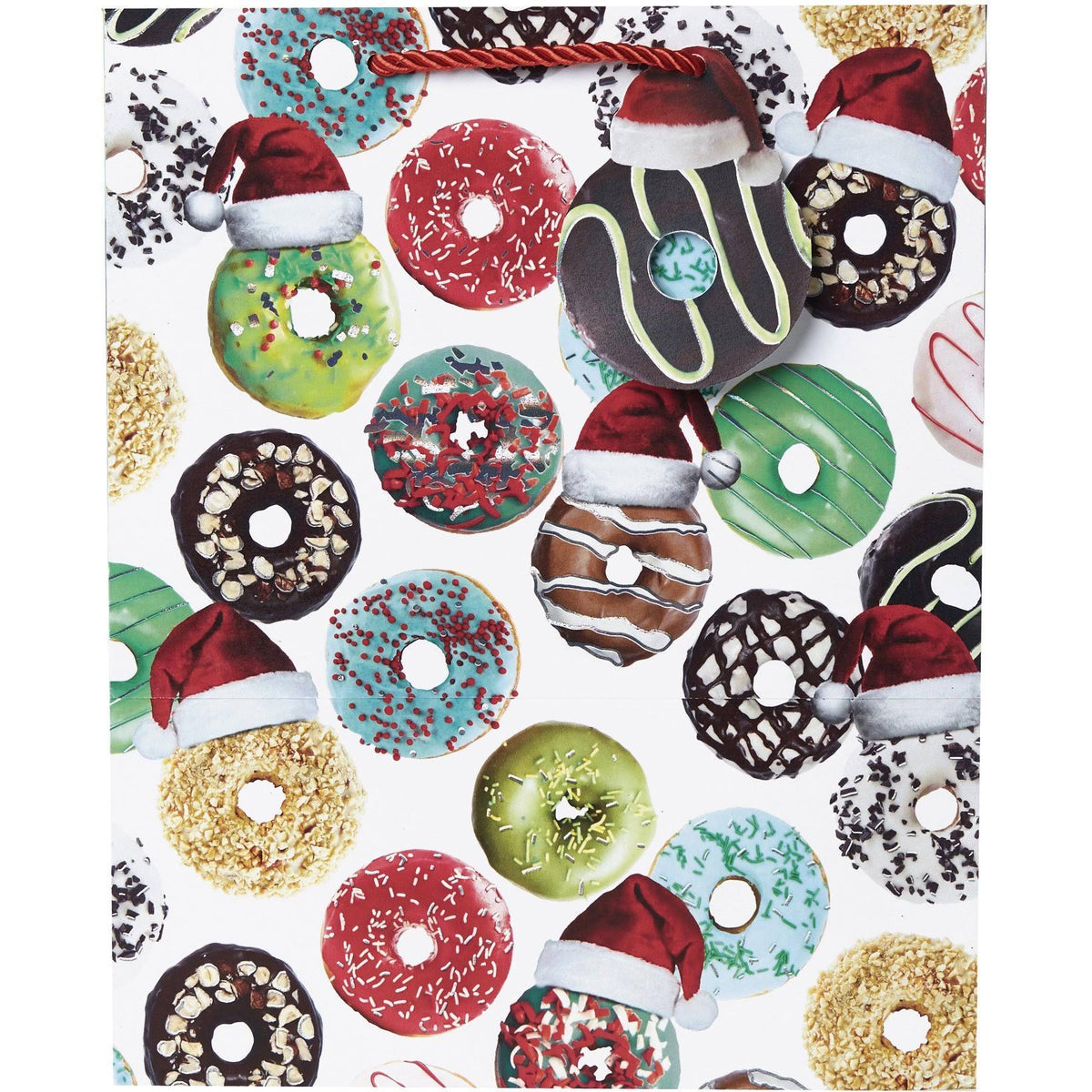 Large Gift Bags, 60 Pieces R613541