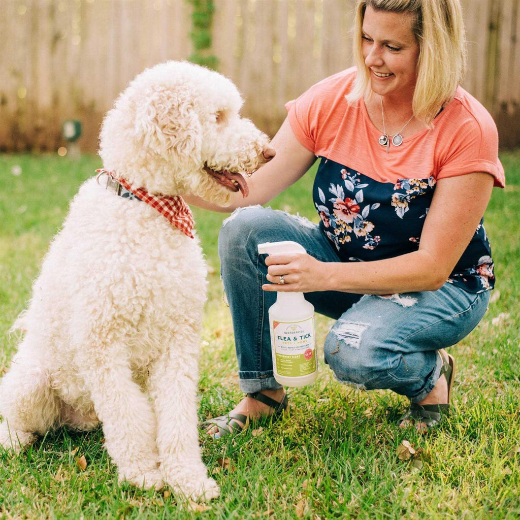 Flea Tick Spray for Pets N122