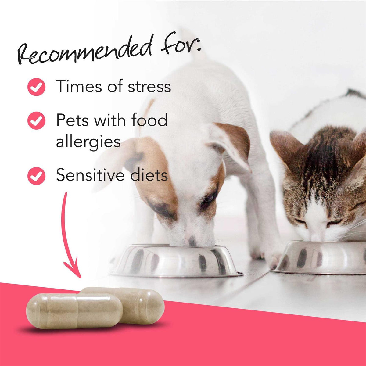 Probiotic U7044