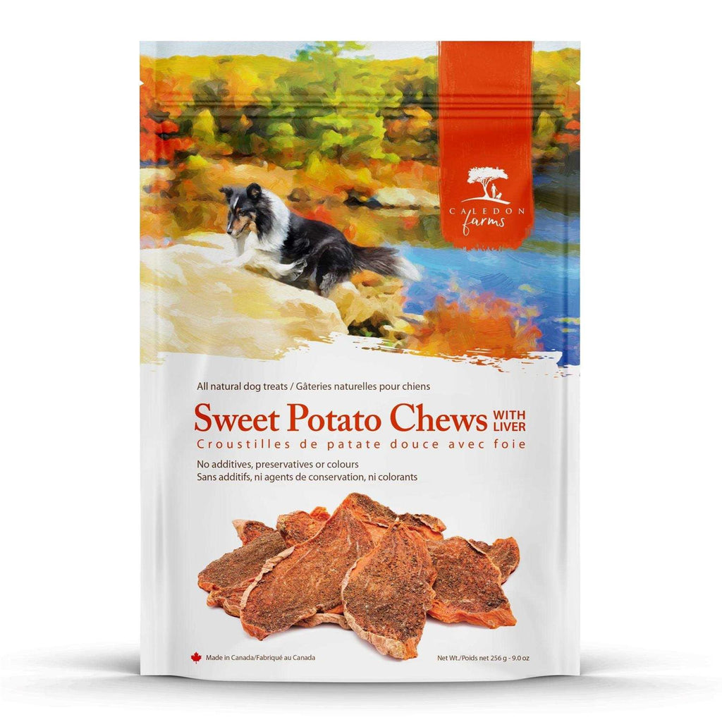 Sweet Potato Chews Dog Treats O181838
