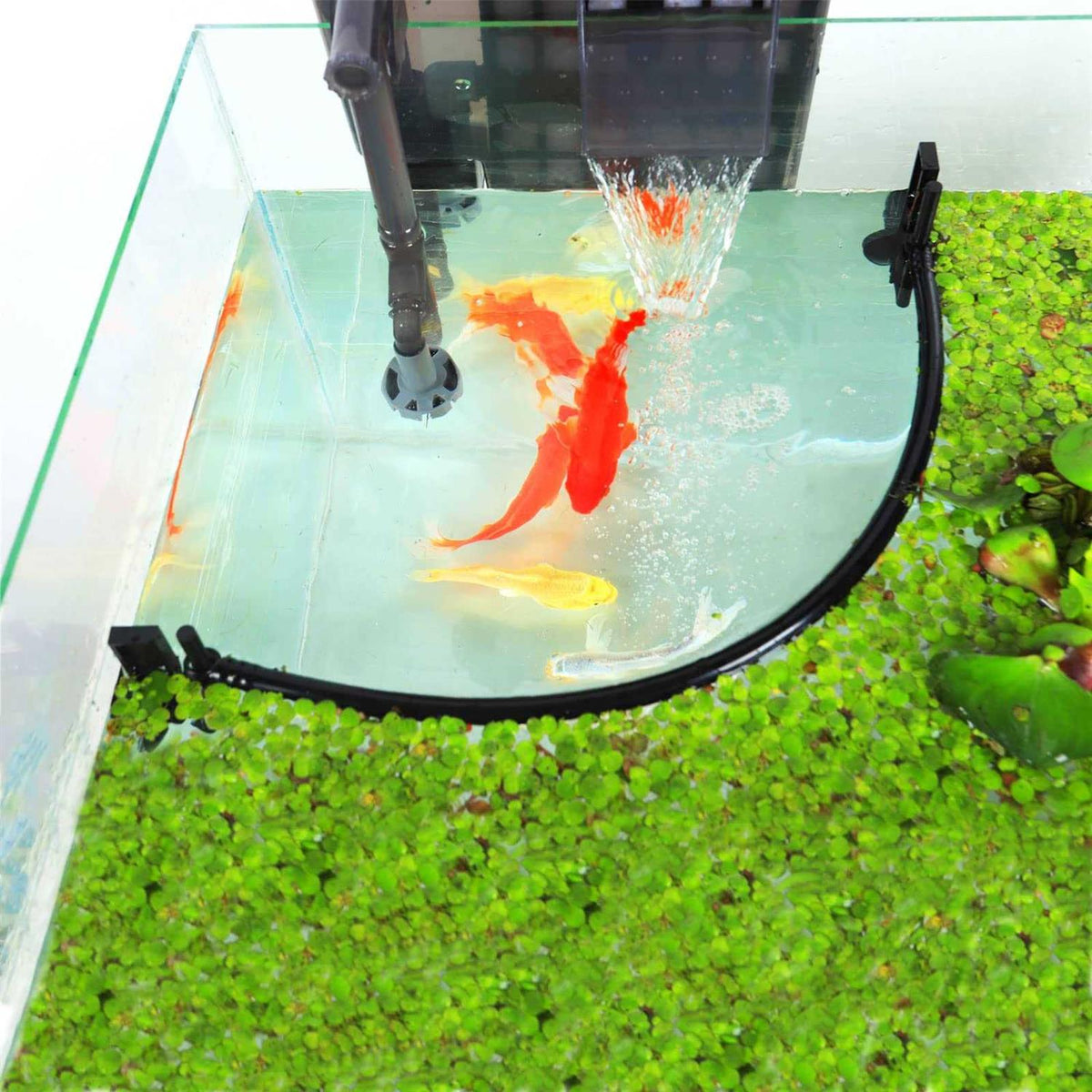Aquarium Floating Plant Corral R784165
