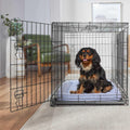 Heavy Duty Collapsible Wire Dog Crate E675658