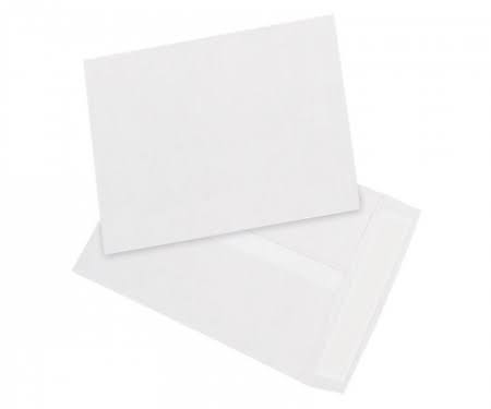 White Tyvek Flat Envelopes 15x22 100/Case H628089