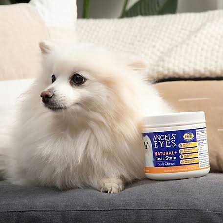 Natural Soft Chews for Dogs C769740