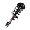 Strut and Coil Spring Assembly X599