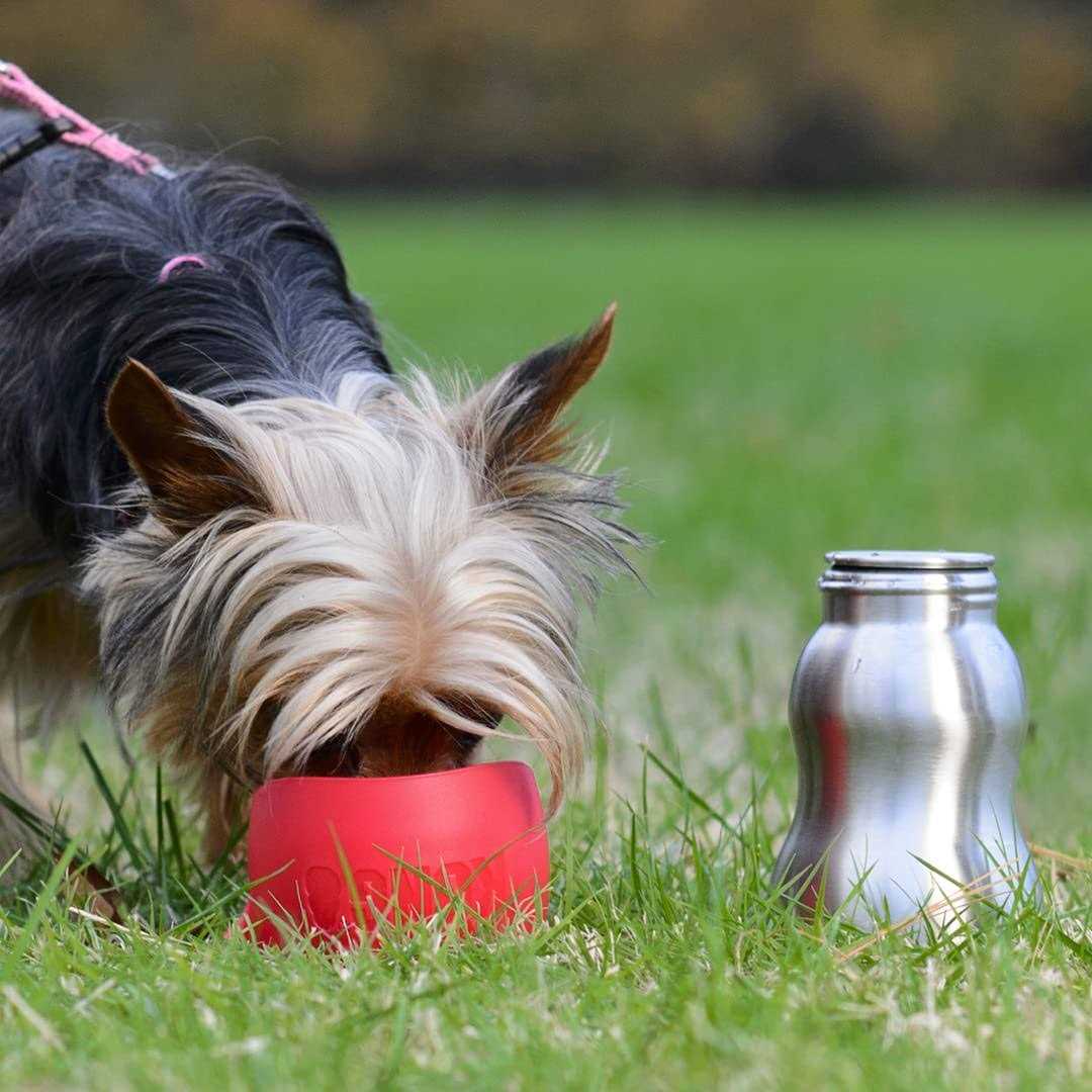 Stainless Steel Dog Water Bottle O8020