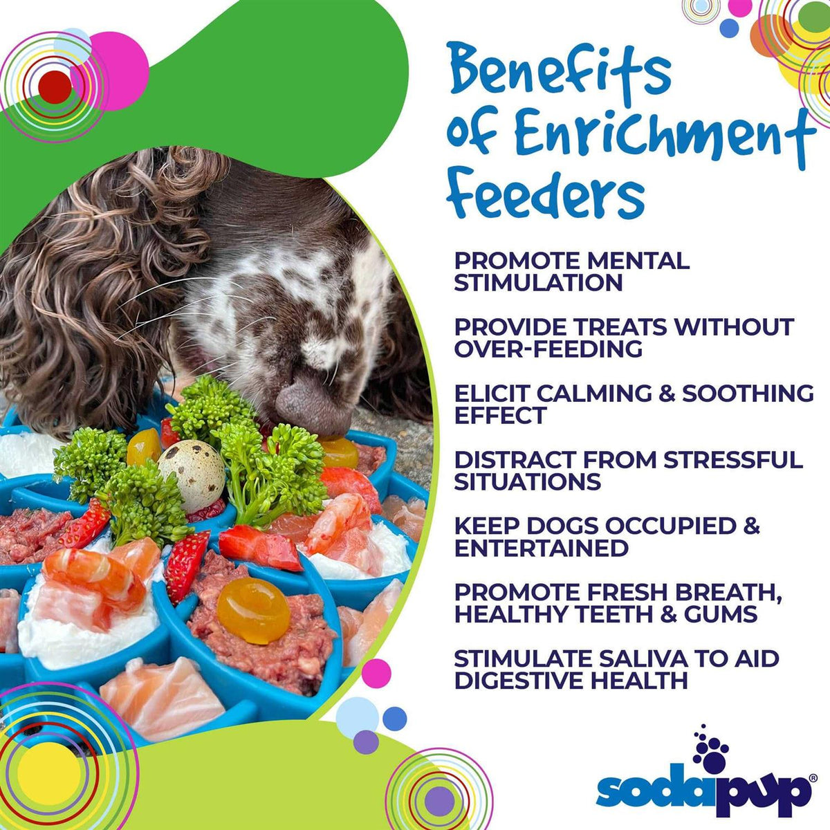 Mandala Design Enrichment Tray for Dogs O7826