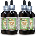 Parietaria Officinalis Dried Herb Alcohol-Free Liquid Extract 4x120 ml Q24629