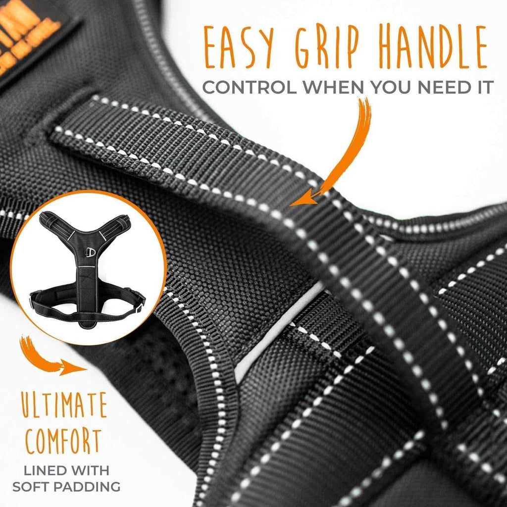 Padded Dog Harness S343463