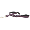 Purple Dog Leash 0.5x22 x 72x22 D381739