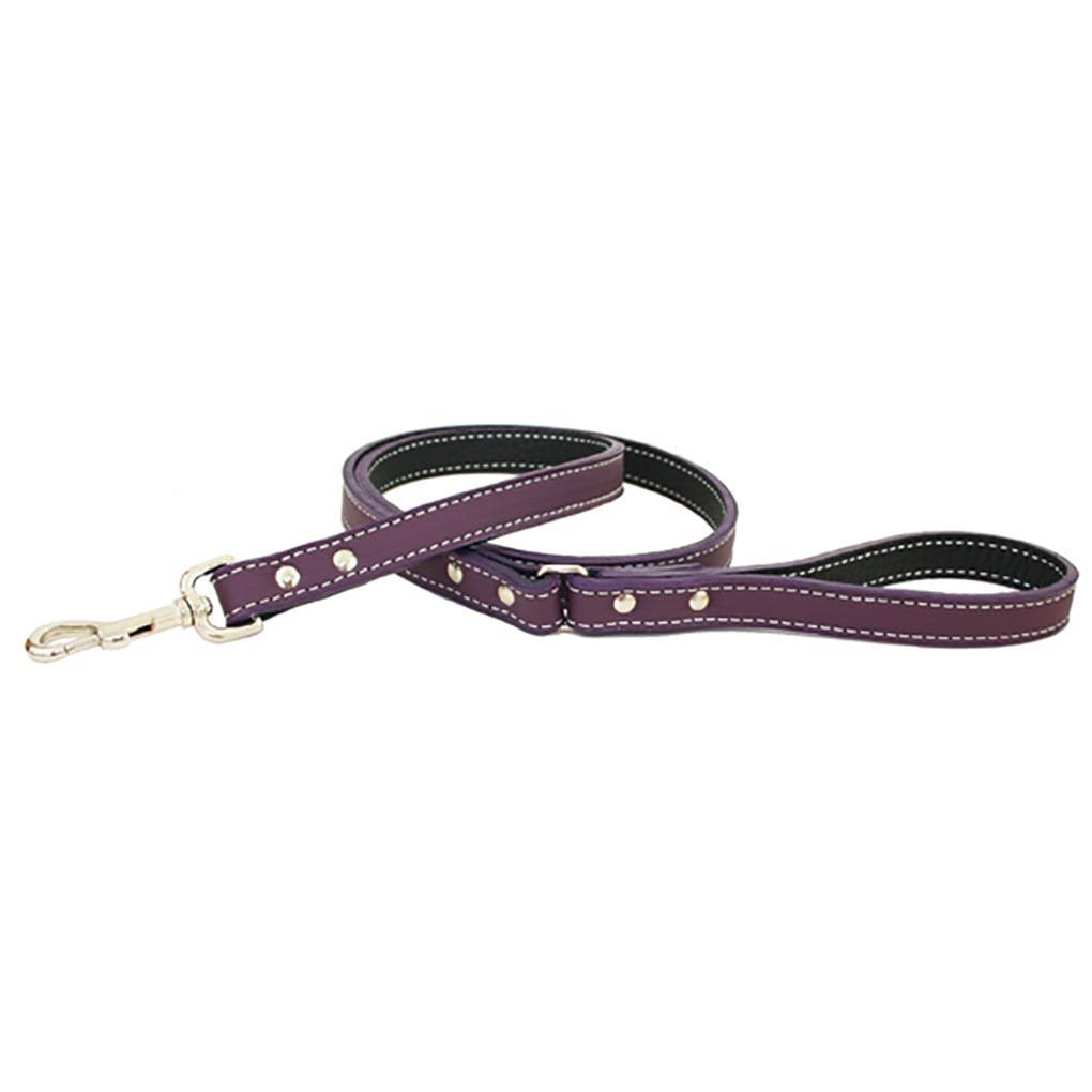 Purple Dog Leash 0.5x22 x 72x22 D381739