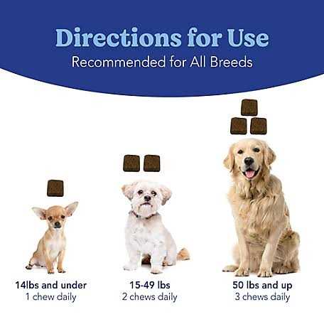 Natural Soft Chews for Dogs C769740