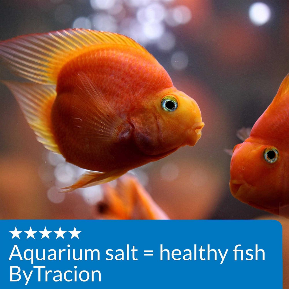 Aquarium Salt O778370