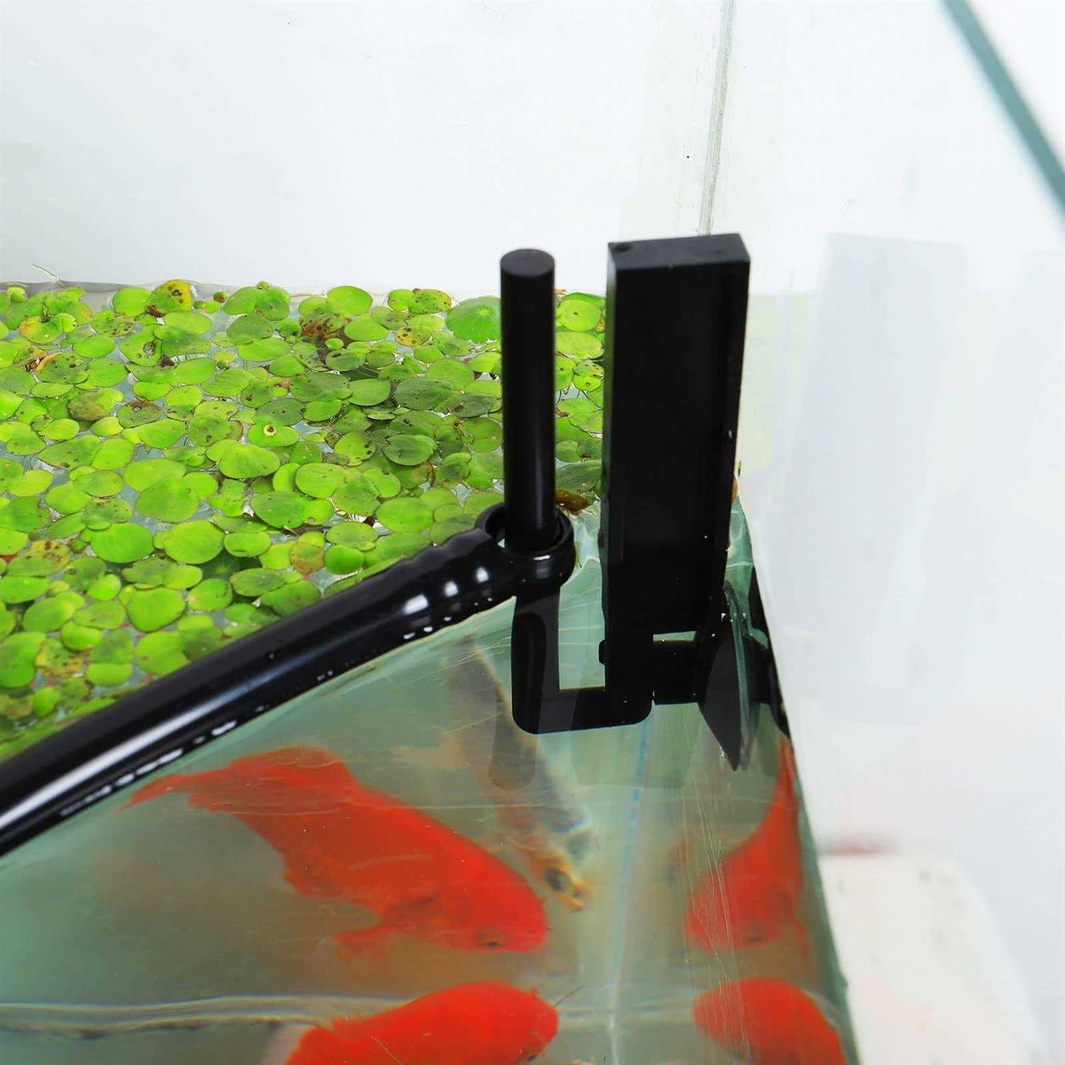 Aquarium Floating Plant Corral R784165