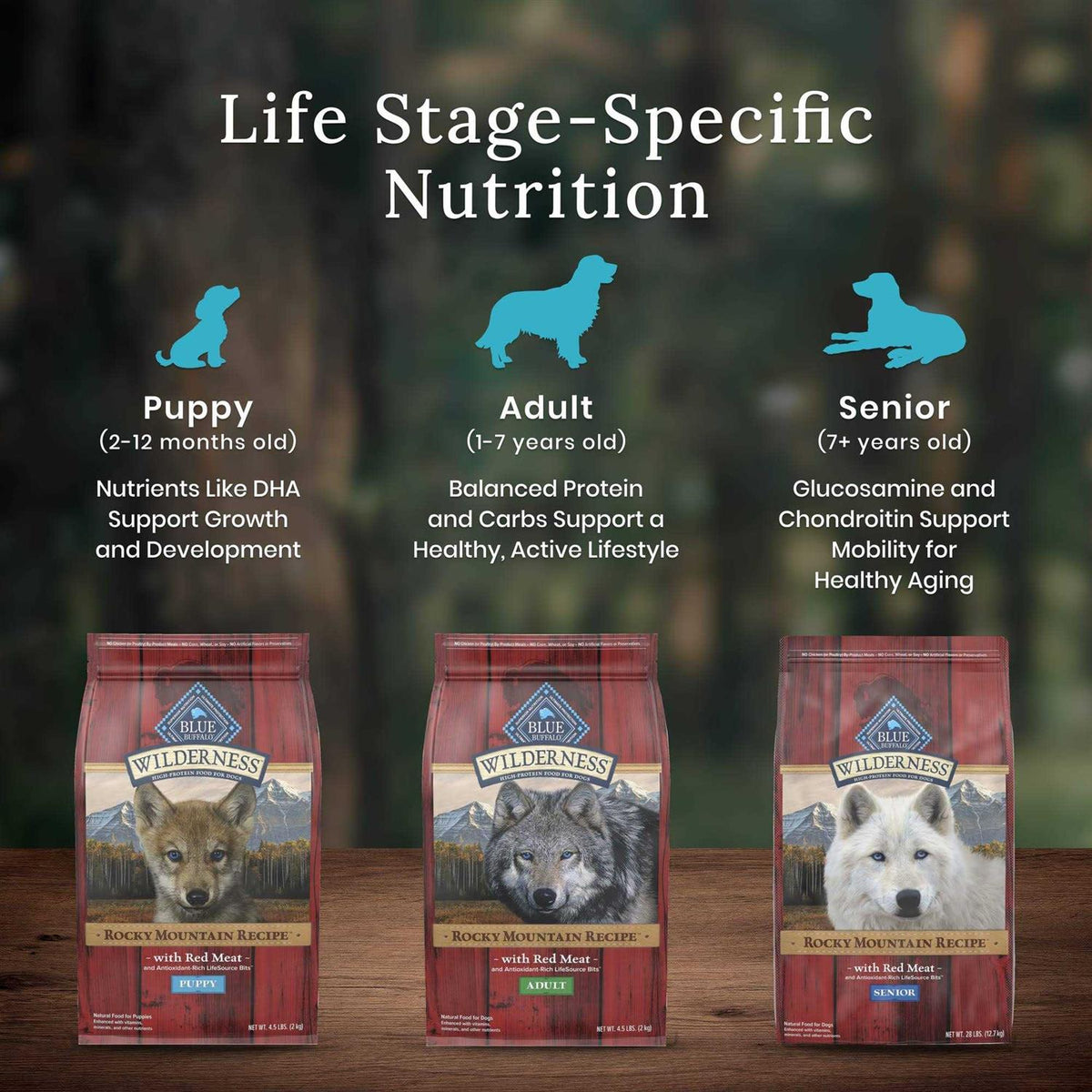 Blue Buffalo Wilderness Rocky Mountain Recipe Dog Food F606020