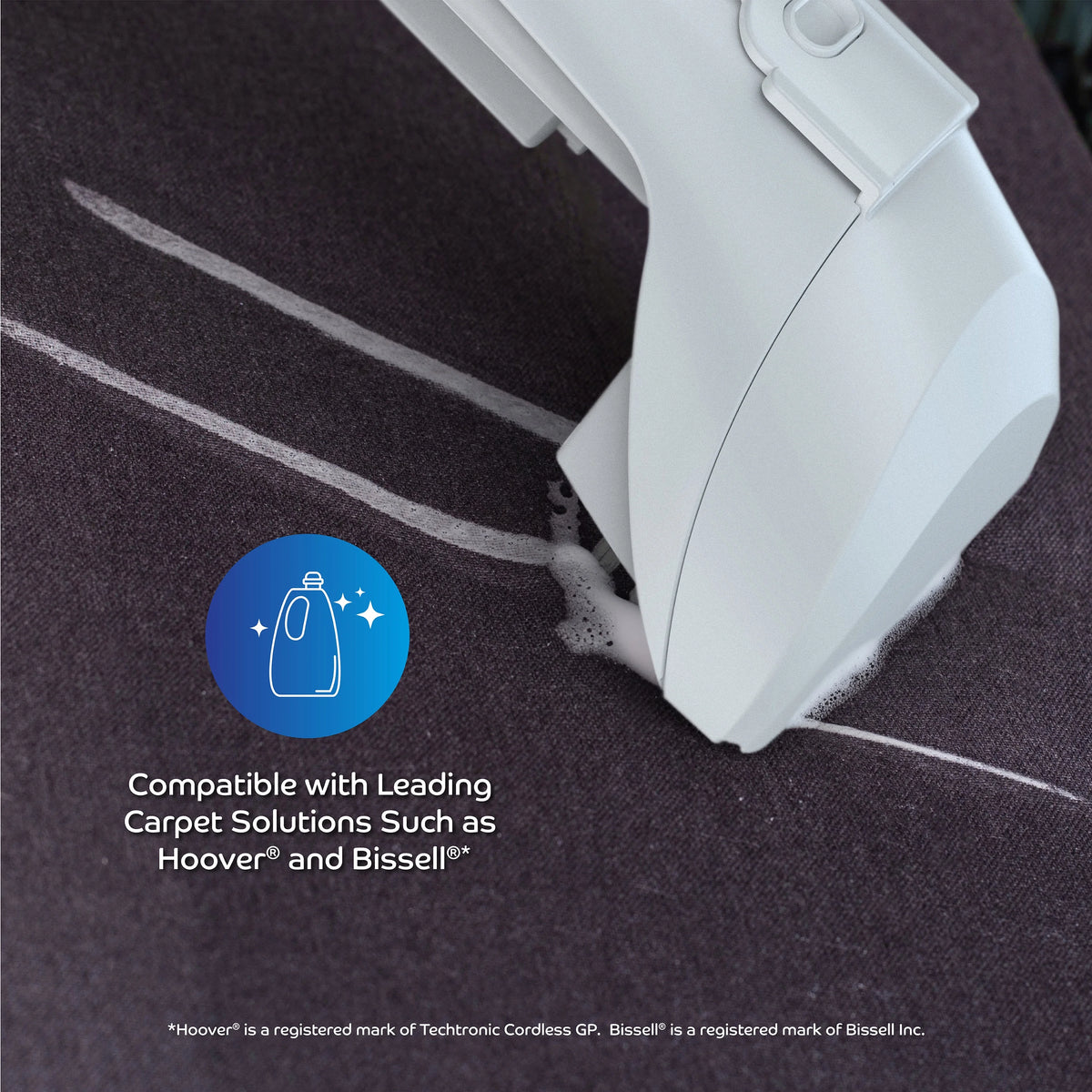 Portable Carpet and Upholstery Cleaner R109