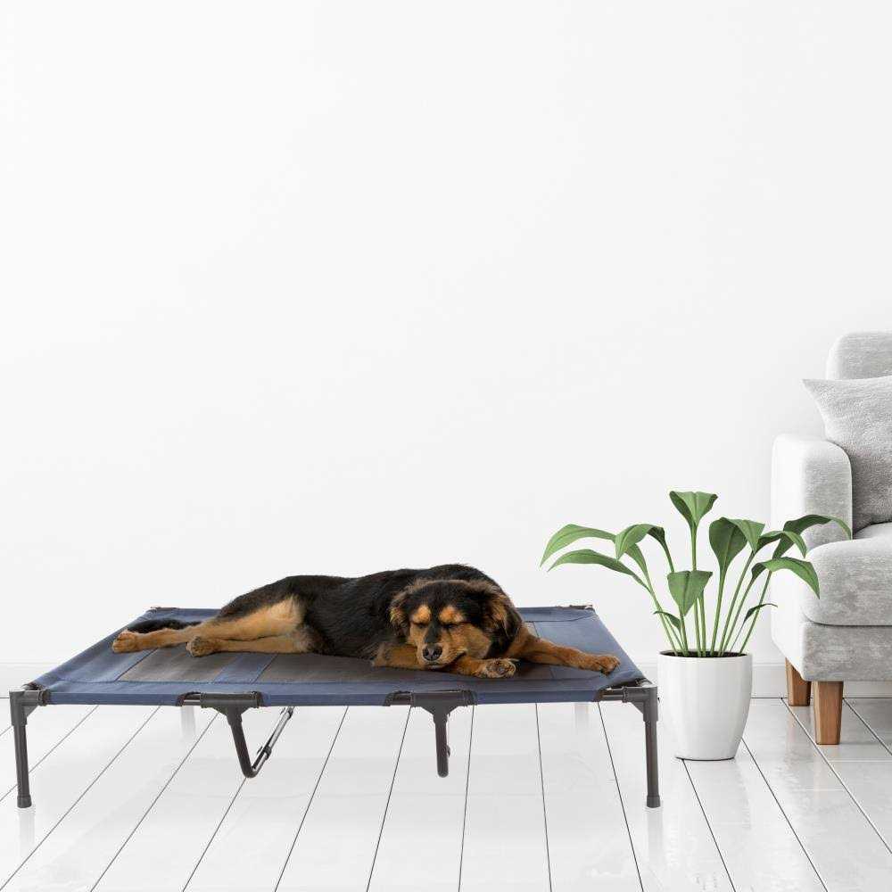 Cot-Style Elevated Pet Bed U708