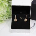 Earrings M540