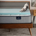 Queen 3 Inch Cooling Memory Foam Mattress Topper A313